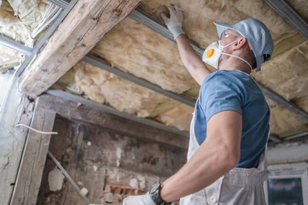 Best Eco-Friendly Insulation in Des Moines, WA