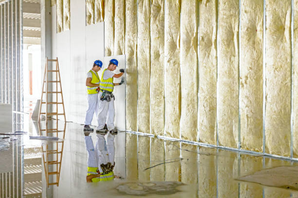 Types of Insulation We Offer in Des Moines, WA